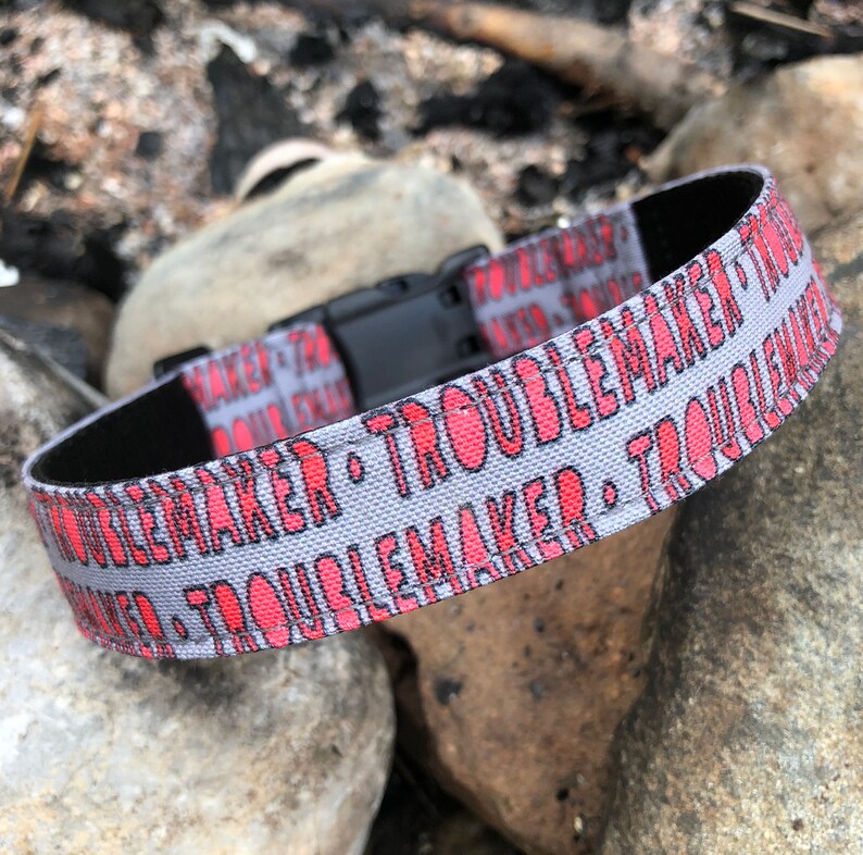 May include: A gray dog collar with a black buckle and red text that reads "Troublemaker" repeated around the collar.