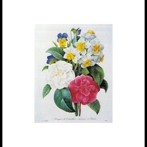 May include: A vintage botanical illustration of a bouquet of white camellias, yellow daffodils, and pink roses. The flowers are arranged in a vase and are surrounded by green leaves. The image is titled "Bouquet de Camellias, Narcisses et Roses."