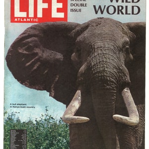 Life Atlantic US Feb 5 1968 American Original Vintage Weekly Magazine Gift Birthday Present Wild World Special Double Issue