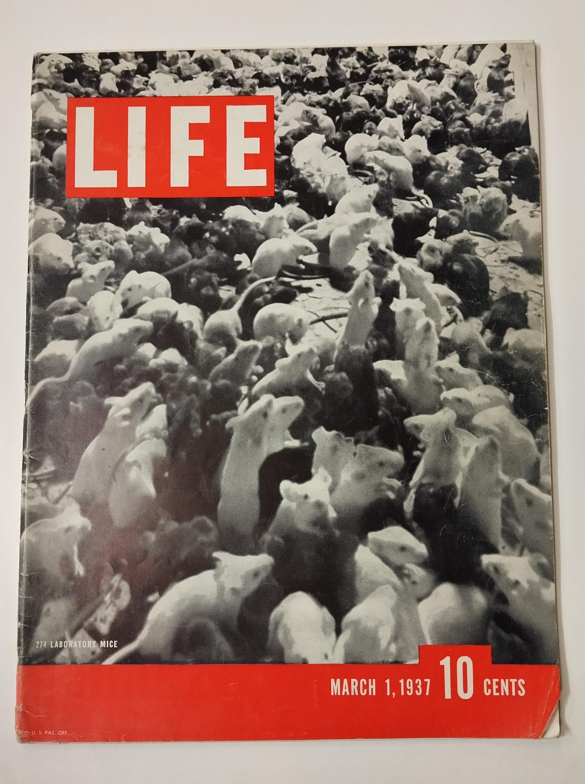 1937 life magazine - Etsy 日本