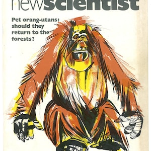 New Scientist June 23  1977 vol 74 no 1057  Weekly Journalism Magazine Collection Gift Birthday Present Ralph Steadman cover