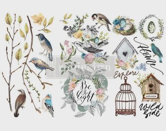 GARDEN MARVELS - Small Transfer - Redesign with Prima• 3PK 6 X 12 • Redesign With Prima • Rub On Transfer • Furniture Transfer •