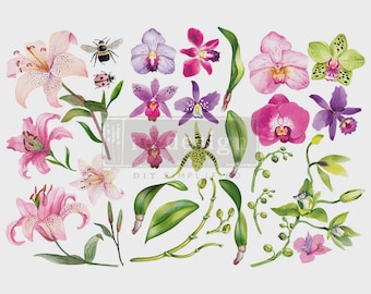 Sunset Tropics | Rub On No Water Transfer | ReDesign with Prima | Small Decor Transfers for Furniture | Flowers