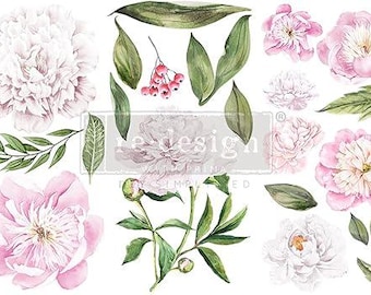 MORNING PEONIES Redesign Transfer • 3PK 6 X 12 • Redesign With Prima • Rub On Transfer • Furniture Transfer • Furniture Upcycling