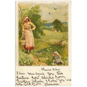 Rassembler des primevères par Fred Hines carte postale vintage de paysage de gemme de Tuck de Tuck imprimée des martinets des collines de 1901 dans le ciel, carte postale vintage
