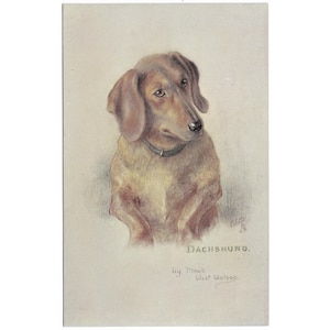Carte postale vintage Teckel par Maud West Watson, Raphael Tuck Oilette, Sketches of Doggies