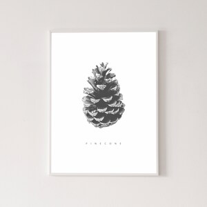Pine cone poster, high quality print, home decor, wall art, contemporary poster, gallery wall, art print