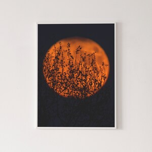 Sunset poster, high quality print, home decor, wall art, contemporary poster, gallery wall, art print