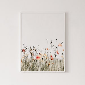 Impresión de amapola naranja, póster de amapolas, fotografía de flores, impresión botánica, impresión de alta calidad, arte mural, fotografía de naturaleza, campo de amapola