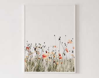 Orange poppy print, poppies poster, flower photography, botanical print, high quality print, wall art, nature photography, poppy field