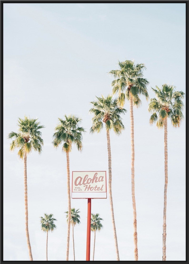 Aloha palms poster home decor nature print contemporary poster high quality photograph original photo art print gallery wall