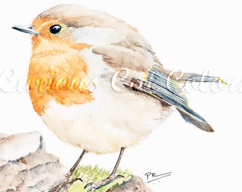 European Robin watercolor print