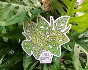I Will Survive - Monstera Adansonii | 3 w kalkomanii | Naklejka | Naklejka winylowa | Odporna na warunki atmosferyczne | Rośliny domowe