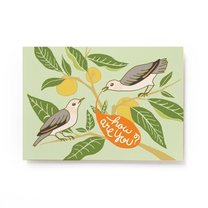 How are you bird postcard, Illustrated Postcard, Audubon Bird Postcard, 4x6 Postcard image 1