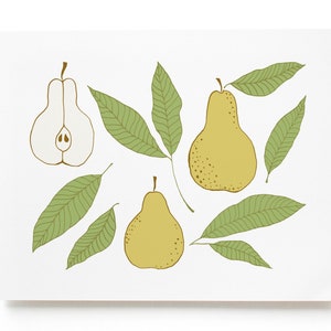 Pear Art Print, Botanical Fruit Art Print