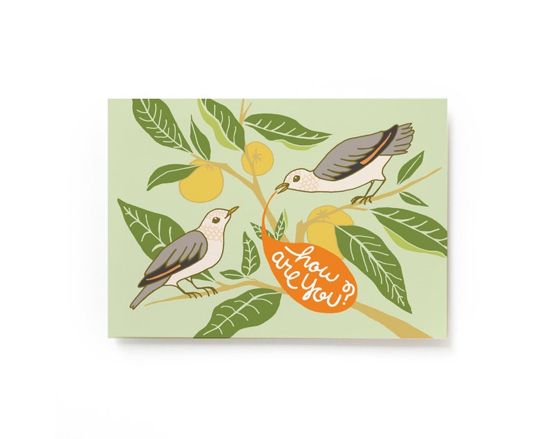 How are you bird postcard, Illustrated Postcard, Audubon Bird Postcard, 4x6 Postcard image 1