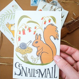 May include: A white card with an illustration of a red squirrel and a snail on a mushroom. The squirrel is sitting on a branch with red flowers. The text "Snail Mail" is written in black at the bottom of the card.