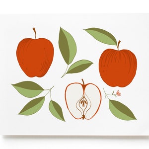 Apple Art Print, Botanical Fruit Art Print