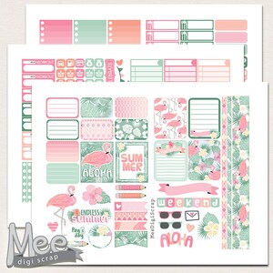 Summer planner stickers printable weekly kit for Erin Condren life planner vertical Planner printable sticker set Tropical summer Flamingo