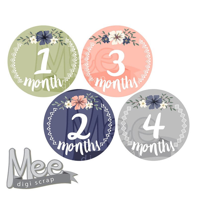 Printable Baby Girl Stickersbaby Monthly Stickersbaby - Etsy