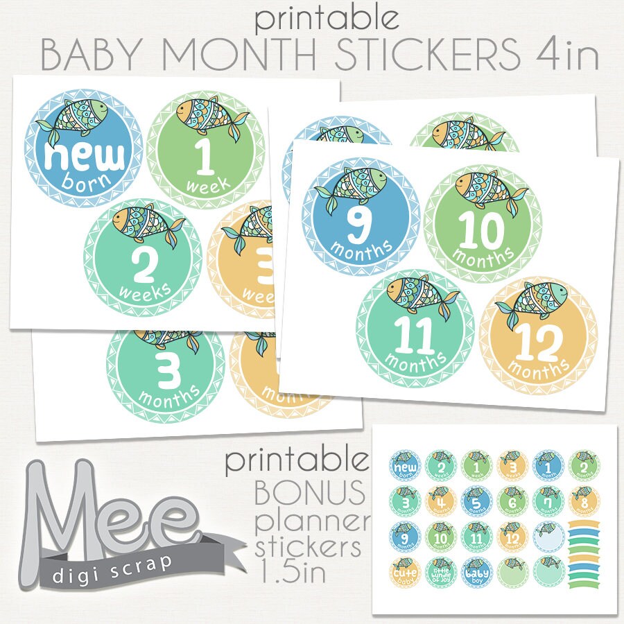 Baby boy month stickersDIY printable baby boy milestone Etsy