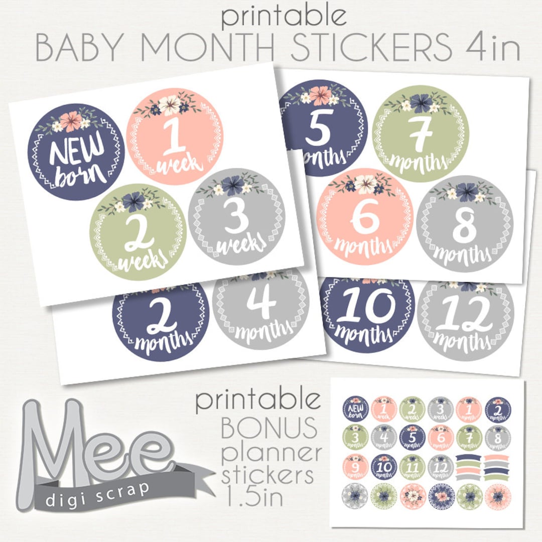 Printable Baby Girl Stickers,baby Monthly Stickers,baby Milestone ...