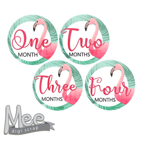 Flamingo baby month stickers,Baby Girl Month Stickers Monthly Baby Stickers Milestone Baby Month Stickers Baby Girl summer Baby Shower Gift