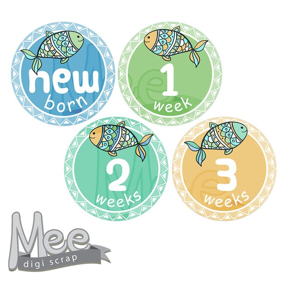 graphic about Baby Month Stickers Printable named Youngster boy thirty day period stickers,Do it yourself printable kid boy milestone stickers,summer season stickers,fish youngster boy regular stickers,free of charge planner stickers,pdf