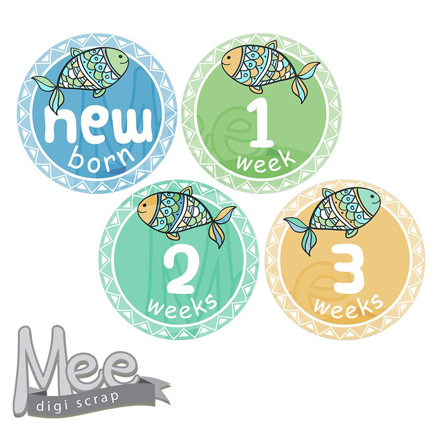 baby boy month stickersdiy printable baby boy milestone etsy australia