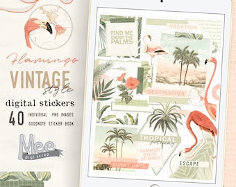 Stickers pour agenda Flamingo : livre d'autocollants numériques pour l'été tropical (PNG, GoodNotes)