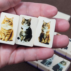 May include: Three white dominoes with images of cats. The cats are sitting and facing forward. The cats are a brown tabby, a black and white tabby, and a calico.