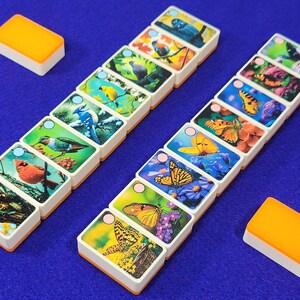 May include: A set of 18 double dominoes with colorful images of birds and butterflies. The dominoes have a white background with a light orange border.