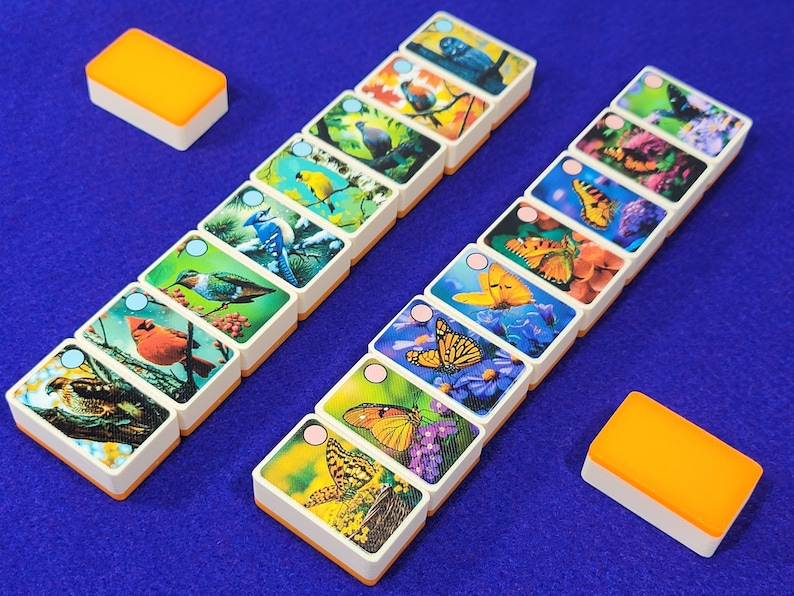 May include: A set of 18 double dominoes with colorful images of birds and butterflies. The dominoes have a white background with a light orange border.