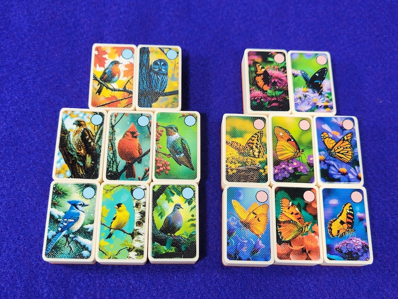 May include: A set of 12 colorful dominoes featuring images of birds and butterflies. Each domino has a different image on each side. The dominoes are made of wood and have a white background.
