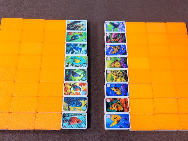 May include: A set of colorful dominoes with images of birds and butterflies. The dominoes are arranged in two rows, with the birds on the left and the butterflies on the right. The dominoes are all white with a blue border and a white dot in the center.