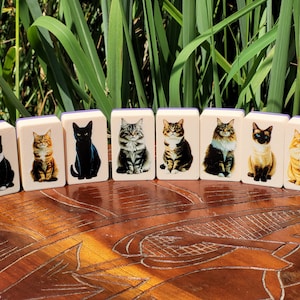 May include: Nine wooden dominoes with images of cats on each side. The dominoes are arranged in a row on a wooden surface. The cats are all different breeds and colors.