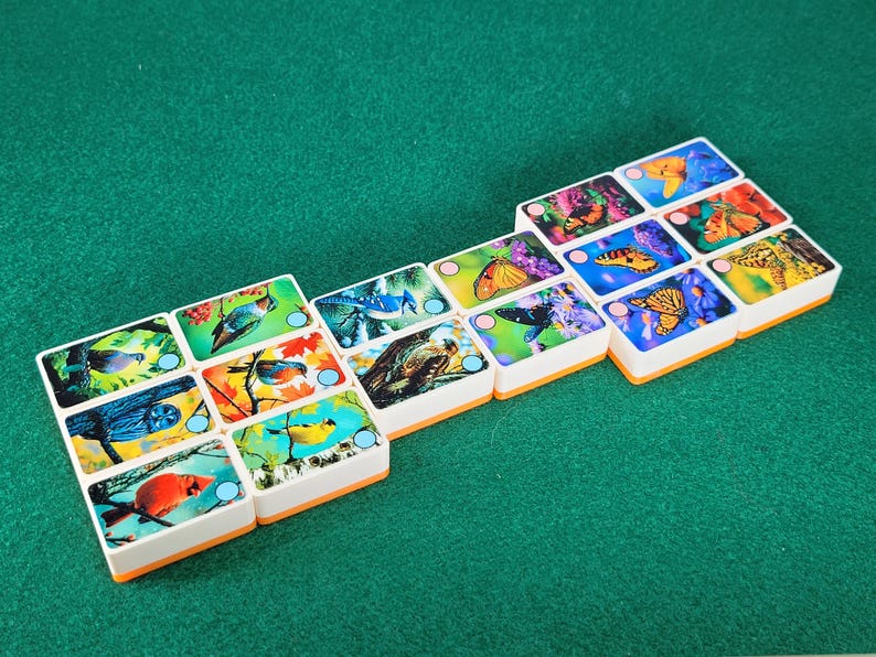May include: A set of 14 dominoes with colorful images of birds and butterflies. The dominoes are white with orange edges and have a blue dot on each side.