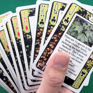 Ohio Buckeye Trivia Playing Cards: Collectible Limited Edition Deck