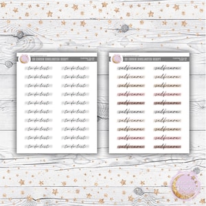 May include: Two sheets of planner stickers with a white background. The left sheet has 10 gray and white rectangular stickers with the text "to do list" written in black script. The right sheet has 10 rectangular stickers with the text "selfcare" written in black script. The stickers have different colored backgrounds, including beige, pink, and brown.