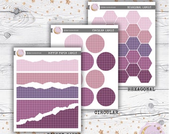 AExAPP Midnight Dusk Assorted Functional Stickers with Grid