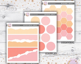 AExAPP Peach Cobbler Assorted Functional Stickers with Grid