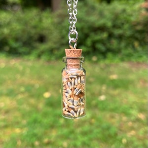 May include: A clear glass vial necklace filled with dried seeds, sealed with a cork stopper. The vial hangs from a silver chain. The background is a blurred green, suggesting an outdoor setting.