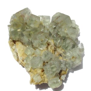 May include: A cluster of pale green fluorite crystals. The crystals are cubic in shape and sit atop a beige matrix. The fluorite has a translucent quality, and the overall appearance is natural and earthy. This mineral specimen is ideal for collectors.