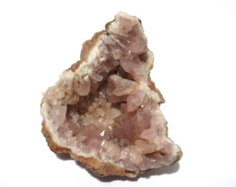 ワールドクラス - ニフォントバイト標本 - Etsy 日本