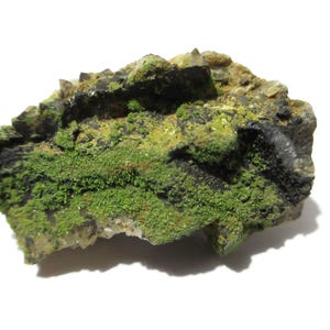 May include: A raw mineral specimen featuring a rough, irregular rock formation with deep black crystalline structures and vibrant, moss-green textured deposits covering the surface, creating a high-contrast appearance with earthy, natural tones.