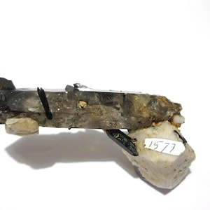 May include: A raw mineral specimen featuring a long, translucent smoky quartz crystal horizontally oriented, accented with sharp, black tourmaline needles and a white, blocky feldspar matrix. A small white paper tag with the number 1577 is attached.