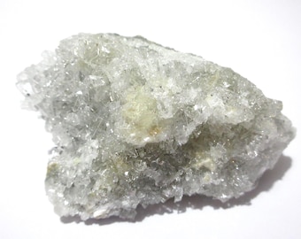 ワールドクラス - ニフォントバイト標本 - Etsy 日本