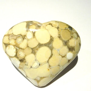 NEW FIND - King Cobra Jasper Heart - (India)