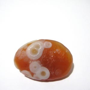 May include: A polished, oval-shaped carnelian gemstone featuring a translucent deep orange hue. The surface displays distinct, naturally occurring white circular eye-like patterns and concentric rings scattered across the smooth, rounded stone.