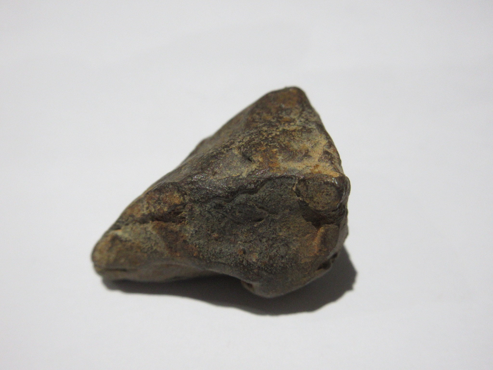 Gebel Kamil Meteorite - Etsy